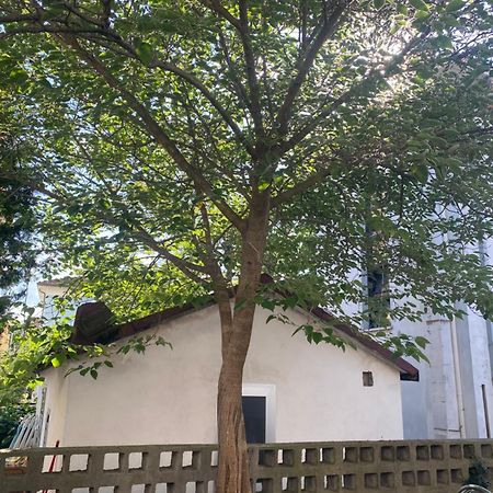 Casa Elisa 8 Villa Белариа-Игеа Марина Екстериор снимка